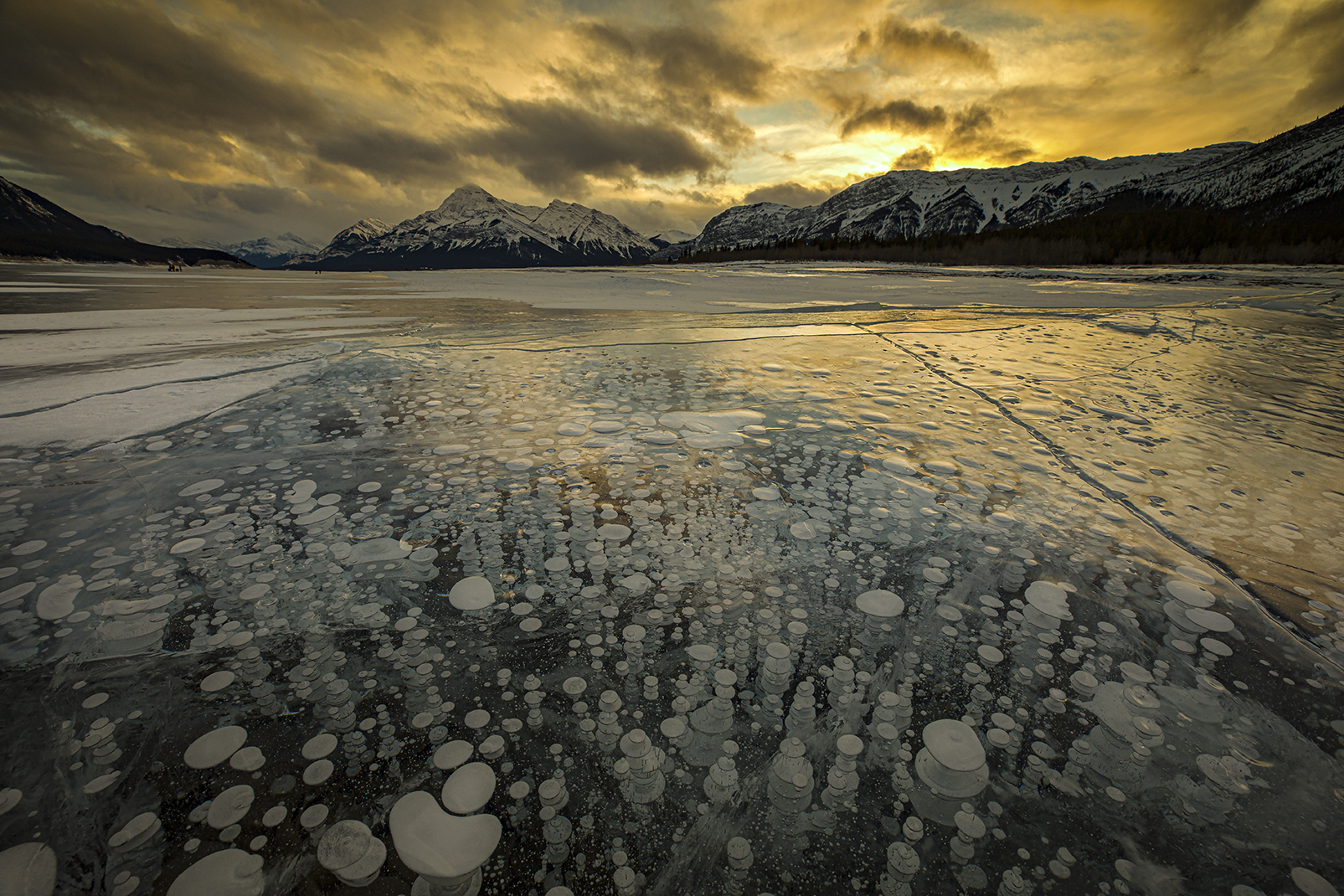 Ice Bubbles at the Sunset